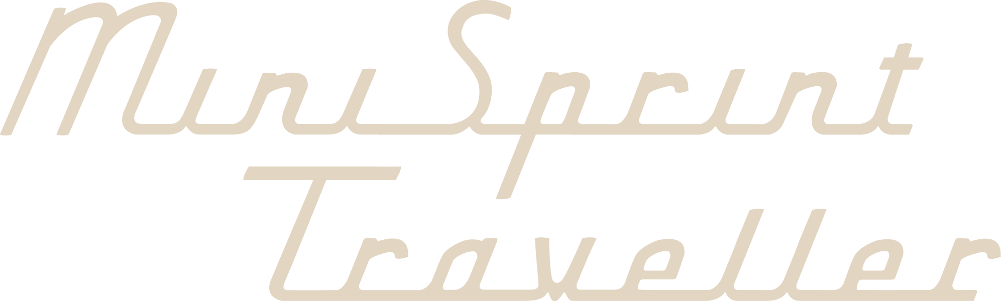 Mini Sprint – The Project